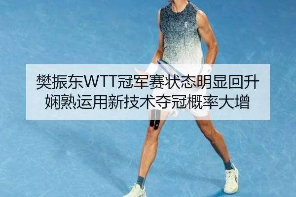 樊振东WTT冠军赛状态明显回升 娴熟运用新技术夺冠概率大增