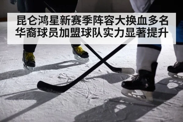 昆仑鸿星新赛季阵容大换血多名华裔球员加盟球队实力显著提升